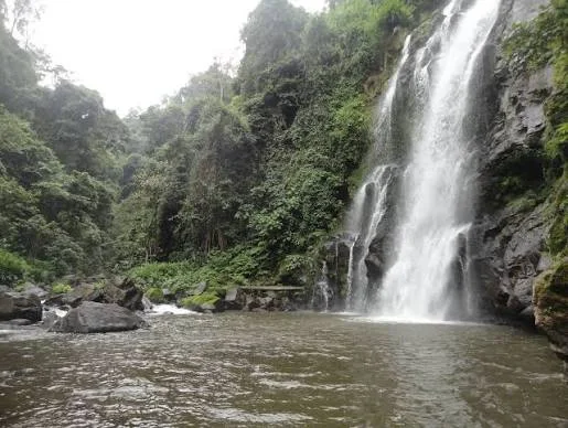 1-Day Rau Forest & Maasai Village Tour