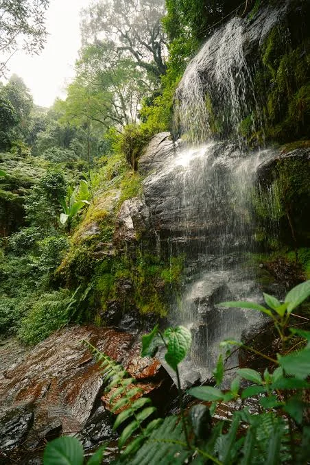 1-Day Kideghe Waterfalls Tour