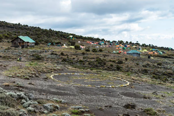 Conquer the Roof of Africa: 5-Day Marangu Route Adventure
