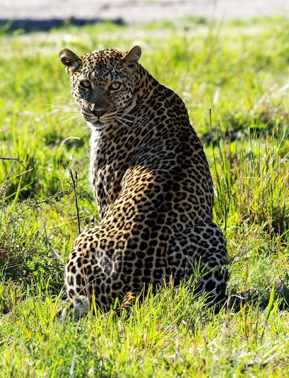 4-Day Budget Trip to Lake Mburo and Queen Elizabeth