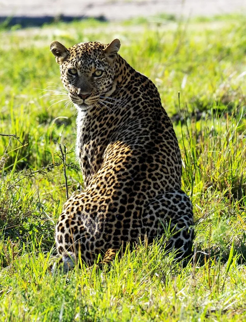 4-Day Budget Trip to Lake Mburo and Queen Elizabeth