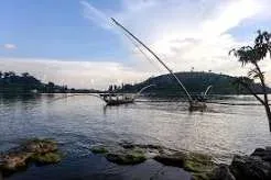 4-Day Gorilla Trekking & Lake Kivu Scenic Escape