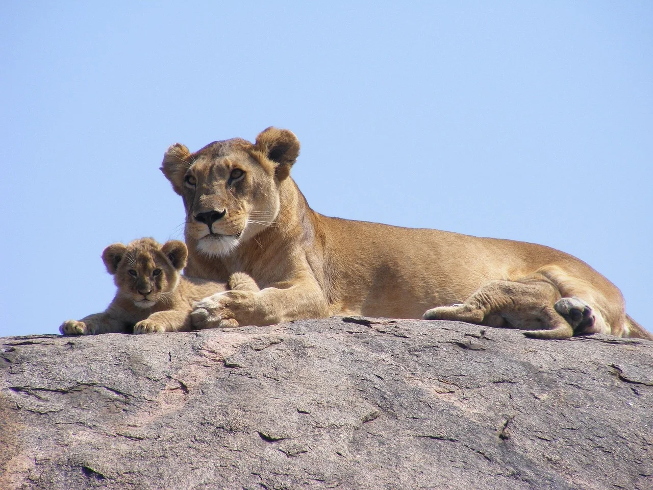 7-Day Southern Tanzania & Zanzibar Bush to Beach Escape