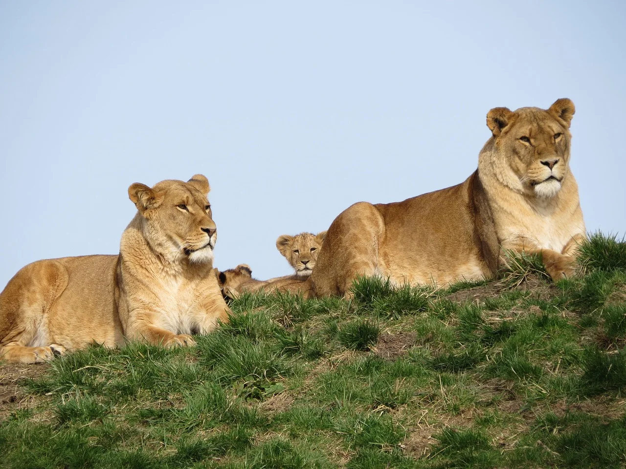 5-Day Big Five & Boat Ride Safari