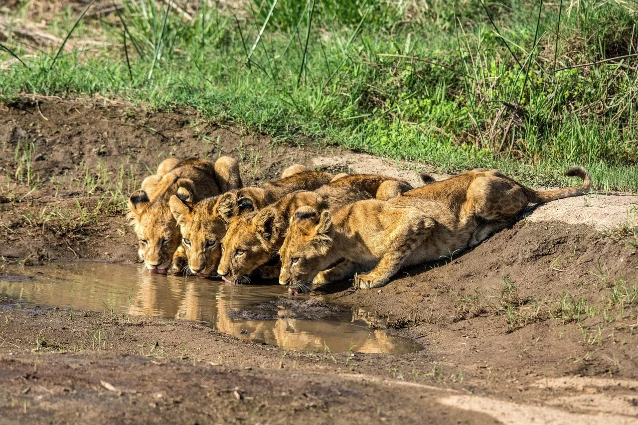 6-Day Great Rift Valley Adventure
