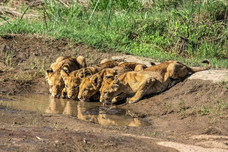 6-Day Great Rift Valley Adventure