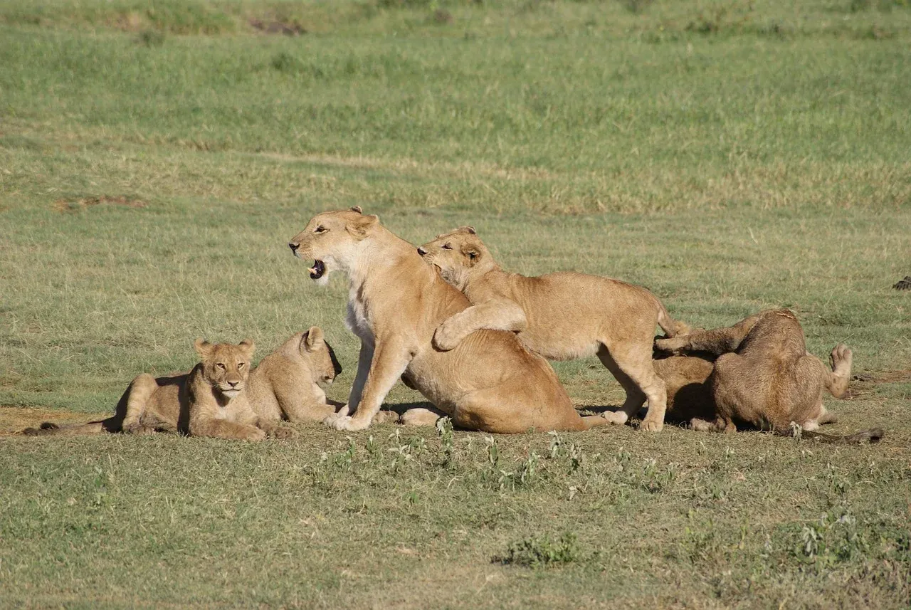 10-Day Luxury Kenya Safari Tour