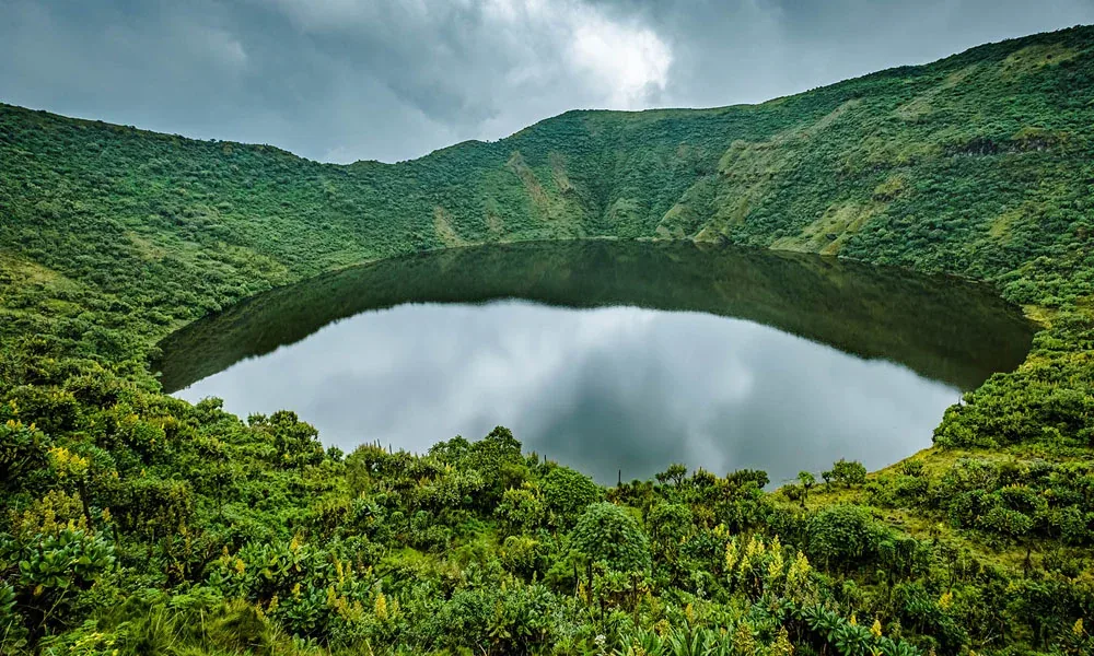5-Day Mount Bisoke & Gorilla Trekking Adventure  -  Rwanda's Ultimate Mountain Experience