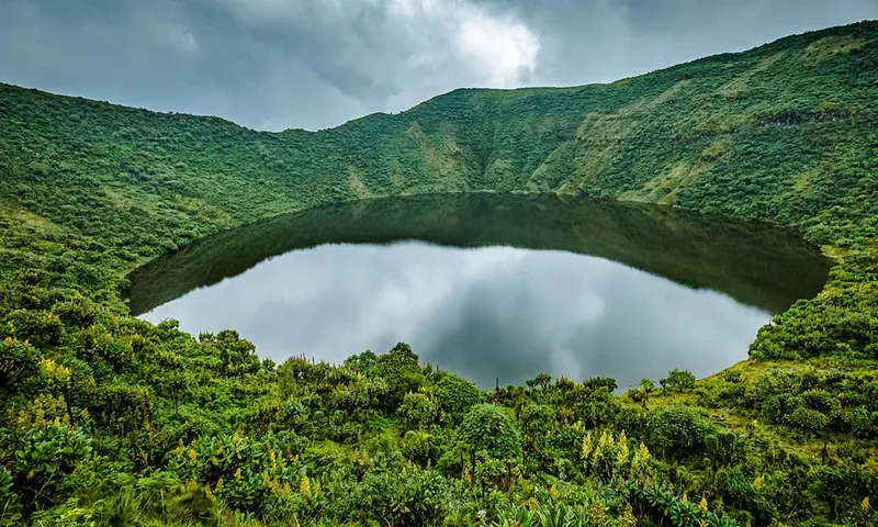 5-Day Mount Bisoke & Gorilla Trekking Adventure  -  Rwanda's Ultimate Mountain Experience