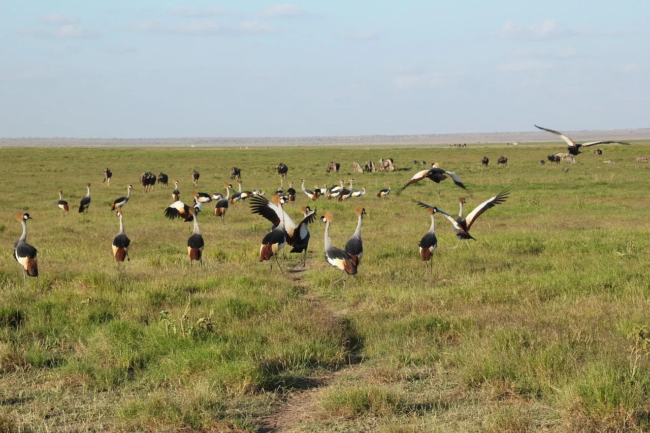 2-Day Lake Nakuru & Naivasha Private Safari