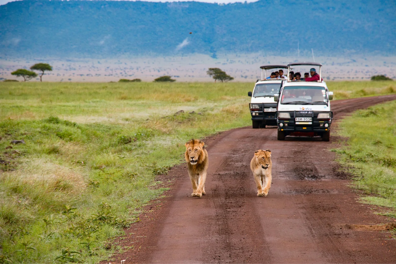 3-Day Wildlife Adventure Mikumi National Park